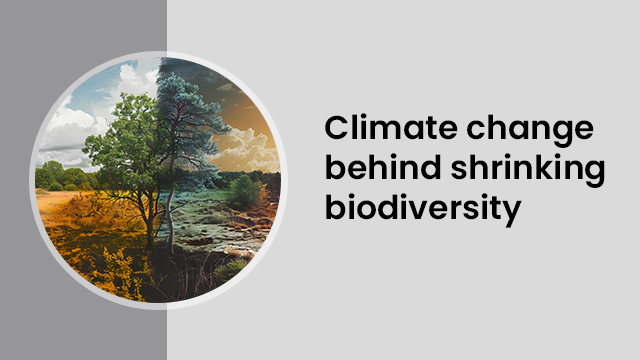 biodiversity loss