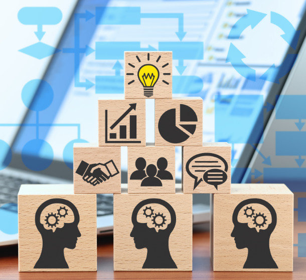 Knowledge Management & Advisory