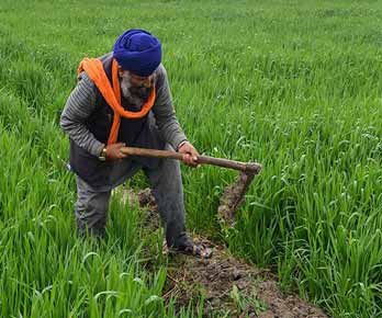 Mobile application development, annual maintenance support and IVRS server voice calling system for farmer