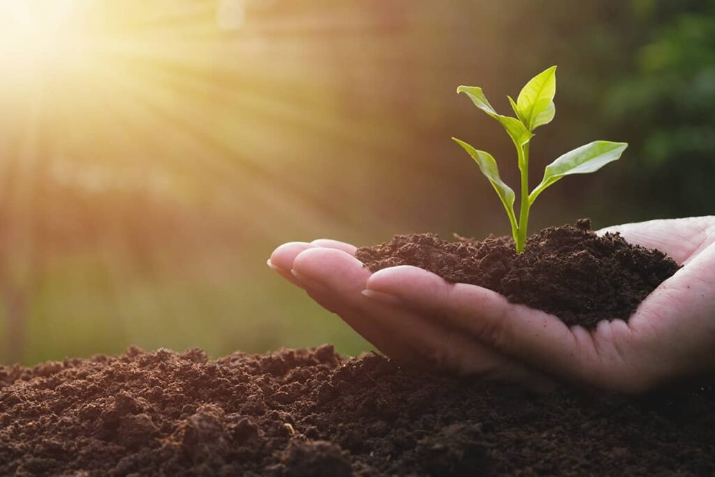 2,50,000 Trees Planted.
Every One Tracked.